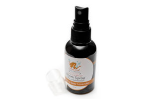 Country Bear Lavender