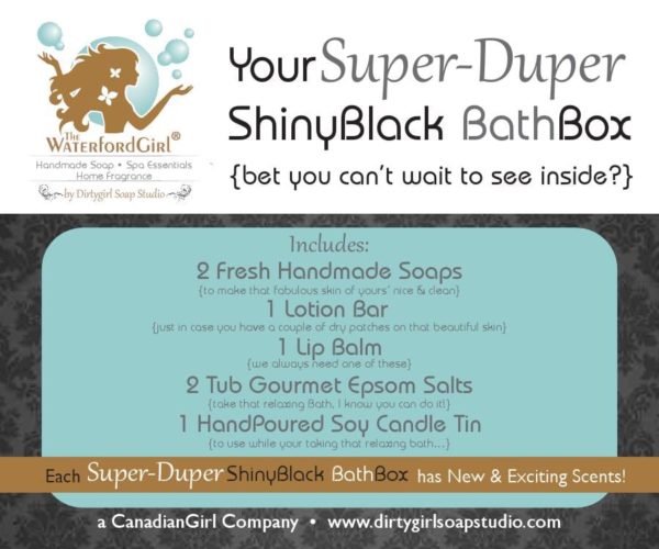 YourSuper-Duper ShinyBlack BathBox (Waterford Lions/Lioness)